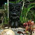 czarny bożek #egzotyka #bożki #roślinność #przyroda #CudaNatury #ptaki #Hawaje #USA #Honolulu