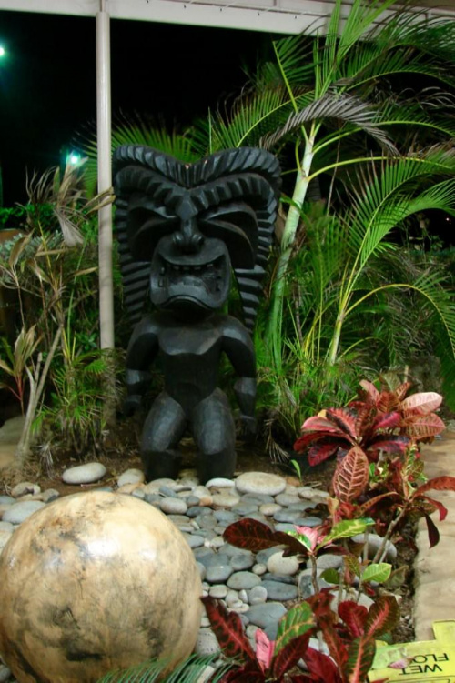 czarny bożek #egzotyka #bożki #roślinność #przyroda #CudaNatury #ptaki #Hawaje #USA #Honolulu
