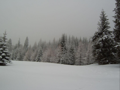 15-17.02.2007 #góry #tatry #zima