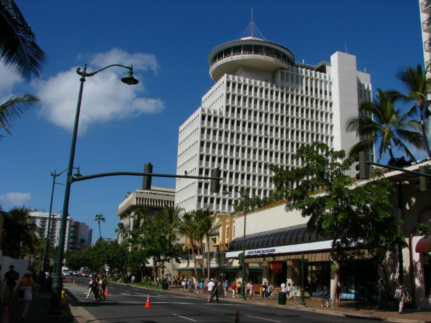 Honolulu centrum #wyspa #roślinność #przyroda #CudaNatury #ptaki #Hawaje #USA #Honolulu