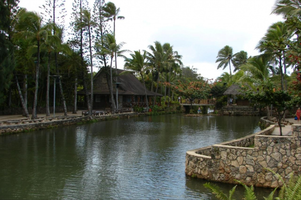 Centrum Kultury Polinezyjskiej - wioski nad rzeką #kultura #egzotyka #taniec #rośliny