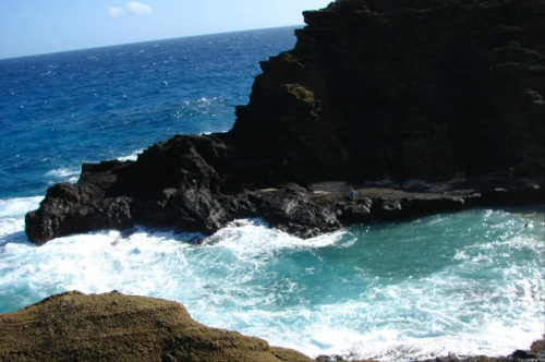 wędrowanie po wyspie - lawowe plaże #wyspa #roślinność #przyroda #CudaNatury #ptaki #Hawaje #USA #Honolulu