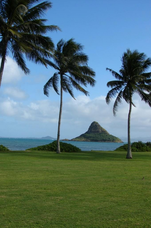 jedziemy w głąb wyspy, wyspa Czapka Chińczyka #wyspa #roślinność #przyroda #CudaNatury #ptaki #Hawaje #USA #Honolulu