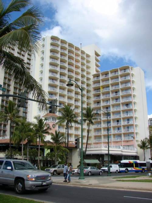 Honolulu centrum, Waikiki #wyspa #roślinność #przyroda #CudaNatury #ptaki #Hawaje #USA #Honolulu