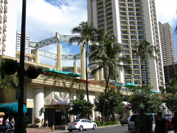 Honolulu centrum #wyspa #roślinność #przyroda #CudaNatury #ptaki #Hawaje #USA #Honolulu