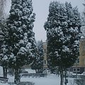 Zima w Kraśniku