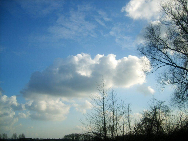 Niebo nad polami