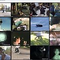 Bumfights.4.Return.Of.Ruckus.2006.DVDRip.XviD-rXnX