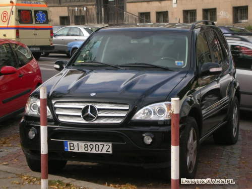 ML55 AMG - BI 89072 (1)