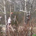 Zdjęcie z sąsiadującego boiska do koszykówki. Cel: uchwycenie piłki ;-)