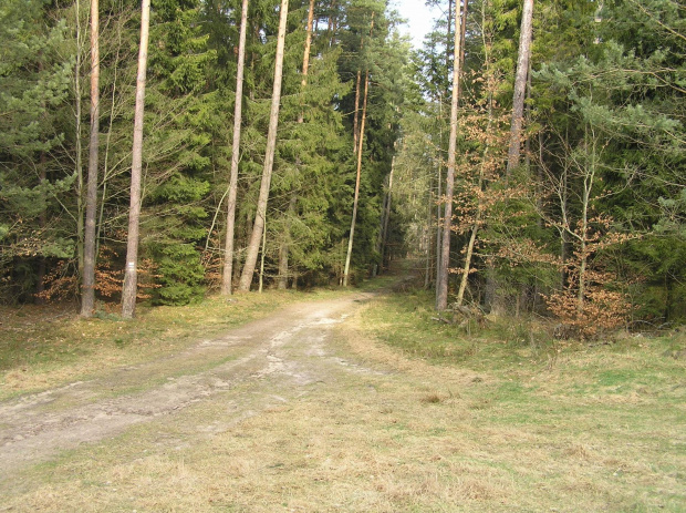 Gdzieś w drodze do Otomina, super pogoda, słoneczko, brak wiatru, ciepło