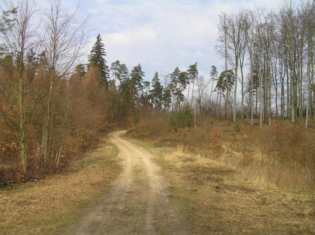 Gdzieś w drodze do Otomina.