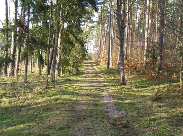 Niebieski szlak Otomin - Gdańsk