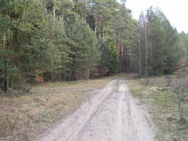 Gdzieś w drodze do Otomina