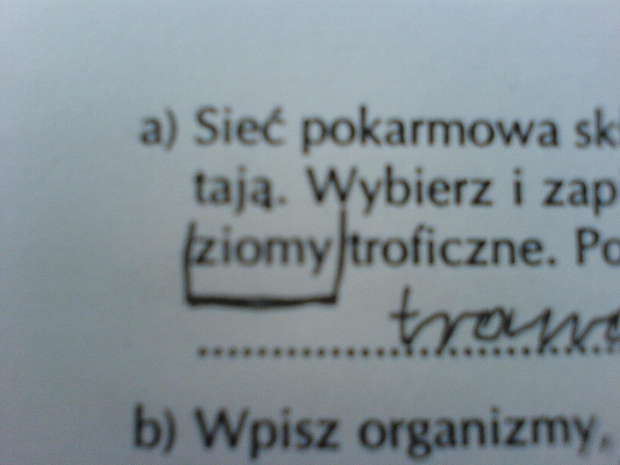 "Wybierz io zapisz wszystkie ZIOMY traficzne"- Kononowicz tutaj był! #ziomy