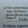 "Wybierz io zapisz wszystkie ZIOMY traficzne"- Kononowicz tutaj był! #ziomy