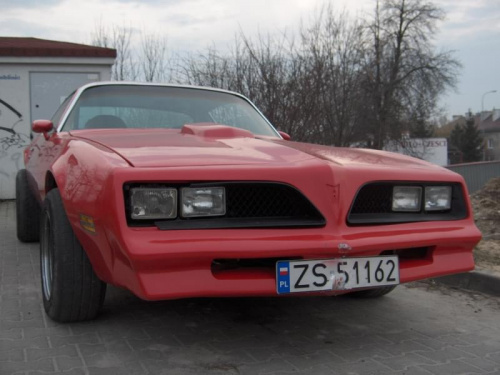 Firebird