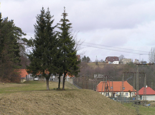 Trzy drzewka a między nimi ławeczka