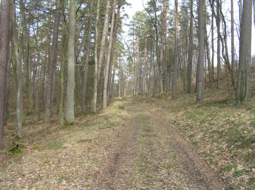 Jar Raduni. Drogi są OK, a przecież dzisiaj rano padało.