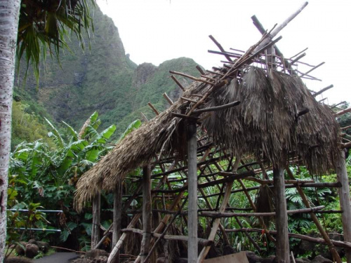 polinezyjskie budownictwo to tylko, przetrwało #dolina #natura #Iao #Hawaje #skoki #woda