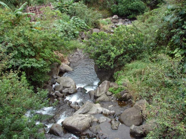 towarzyszył nam miły dla ucha szum strumienia górskiego #dolina #natura #Iao #Hawaje