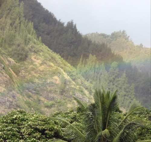 tęcza #Hawaje #natura #zwyczaje