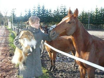 Zuzi, Magda i Konik w Poznaniu.