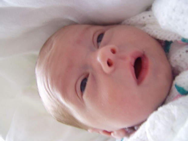 Amelia