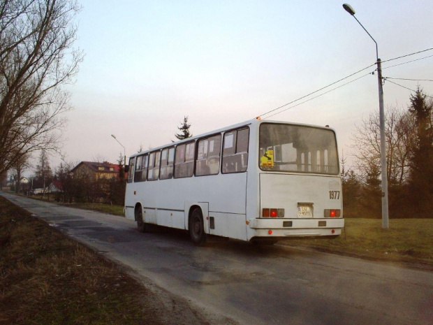 Ikarus na linii 73. Lublin ul. Wygodna. :D