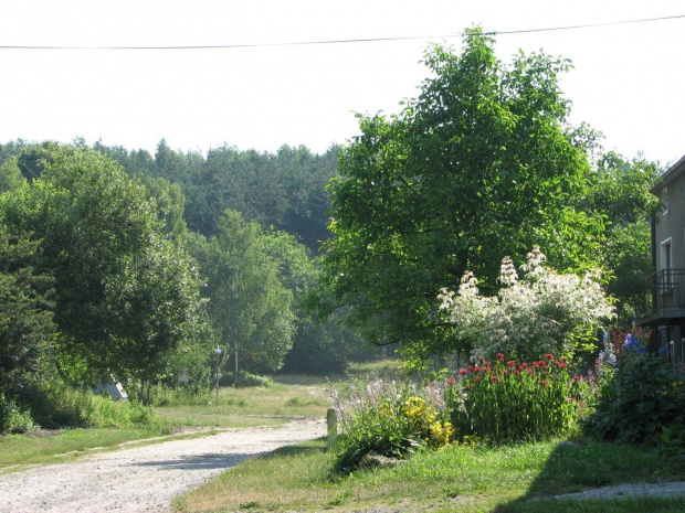 Ostatnia chałupa w Przewodziszowicach i przed nami podejście do ruin strażnicy.