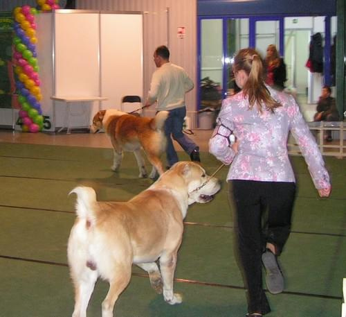 CACIB Show 11.03.2007