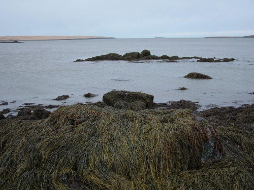 Widok na zatoke Saltvik (zaraz kolo Reykiaviku)