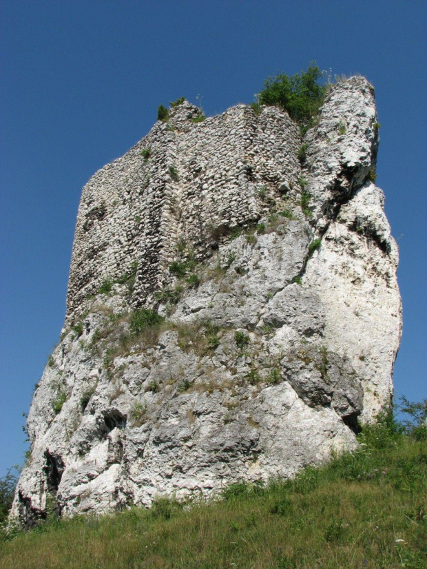 Strażnica Przewodziszowicka.
Zachowany fragment murów.