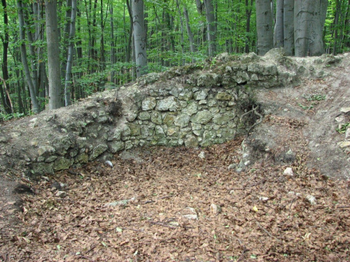 Zamek Ostrężnik.