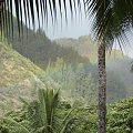 tęcza nad lasem tropikalnym jest często obserwowanym zjawiskiem, #tęcza #tropik #hawaje #wyspa