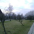 Wisła Park #las #góry #Wisła #park