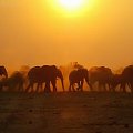 Zachód słońca w Afryce