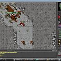 45 lvl #tibia