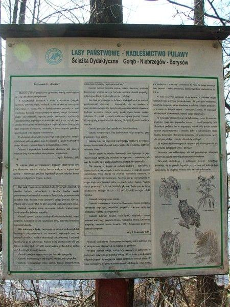 Ścieżka dydaktyczna w Rezerwacie Piskory