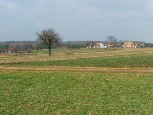 Borysów