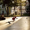 caracas, plaza bolivar