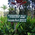 wskazówka #papugi #wyspa #Hawaje #Maui #Hana