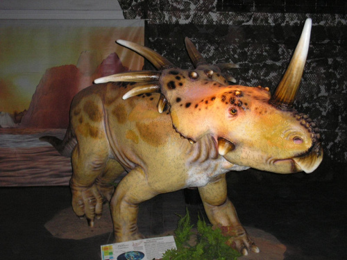 Starykozaur.. również brat Triceratopsa (3 rogi na głowie )albo siostra ;) ( nie sprawdzałem) o ile to kogoś interesue to Triceratops ważył 9 ton... ta szkarada tylko 6 podobnie jak Centrozaur...