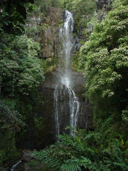 spacerkiem wśród goszczy dżungli dotarłyśmy do wodospadu, #Hana #Hawaje #Maui #natura #wodospady